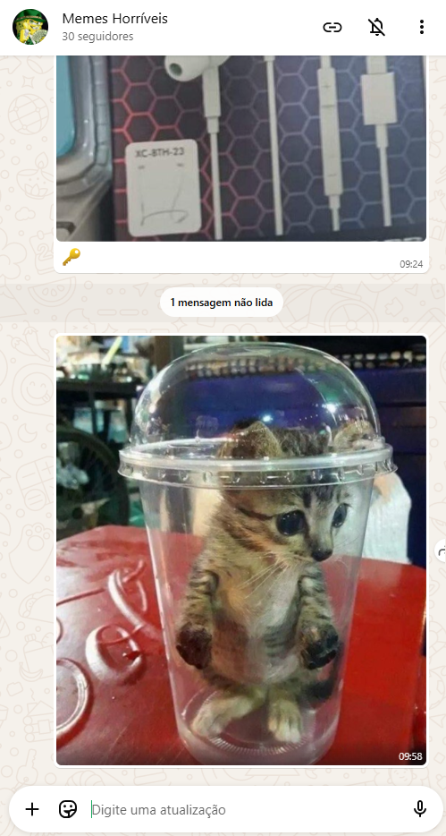 canal 2 dos melhores canais de whatsapp